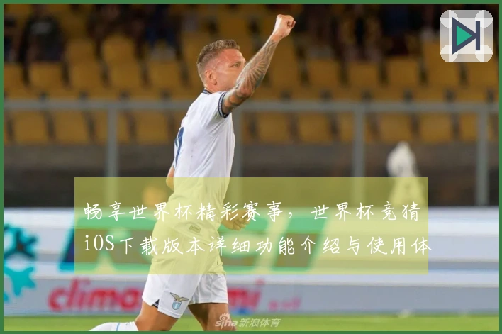 畅享世界杯精彩赛事，世界杯竞猜iOS下载版本详细功能介绍与使用体验指南