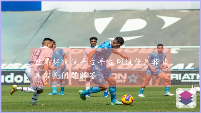 世界杯投注平台平台网址使用指南及常见问题解答