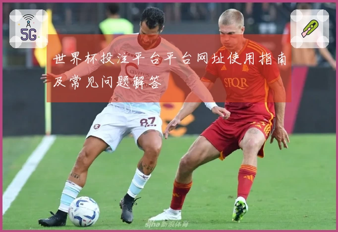 世界杯投注平台平台网址使用指南及常见问题解答