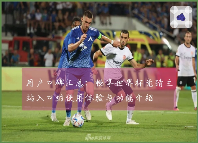 用户口碑汇总：畅享世界杯竞猜主站入口的使用体验与功能介绍