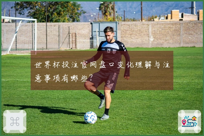 世界杯投注官网盘口变化理解与注意事项有哪些？