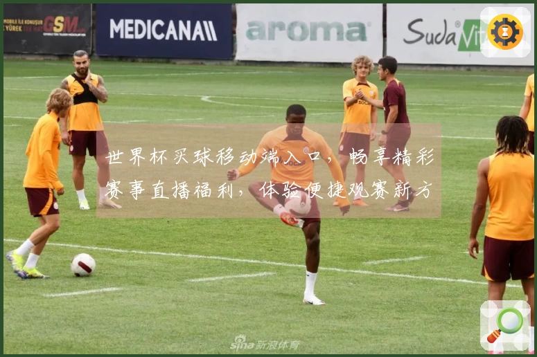 世界杯买球移动端入口，畅享精彩赛事直播福利，体验便捷观赛新方式