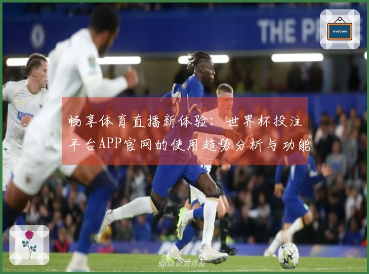 畅享体育直播新体验：世界杯投注平台APP官网的使用趋势分析与功能介绍